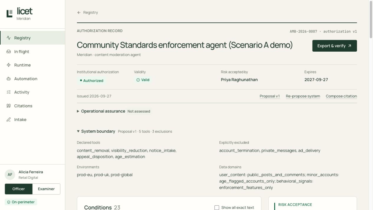 The actual licet authorization record with its system boundary expanded.